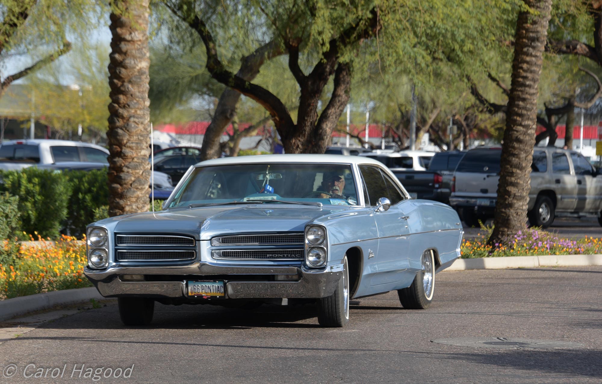 18th century visual data 8